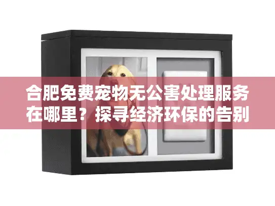 合肥免费宠物无公害处理服务在哪里？探寻经济环保的告别之道