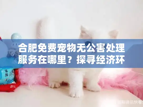合肥免费宠物无公害处理服务在哪里？探寻经济环保的告别之道
