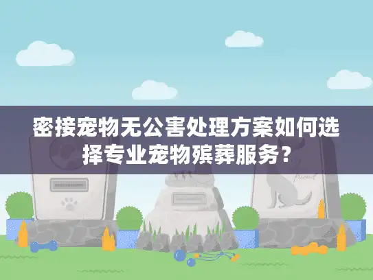 密接宠物无公害处理方案如何选择专业宠物殡葬服务？
