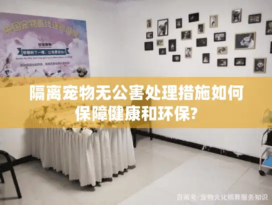 隔离宠物无公害处理措施如何保障健康和环保?