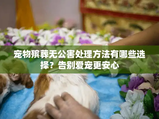 宠物殡葬无公害处理方法有哪些选择？告别爱宠更安心