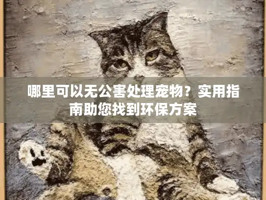 哪里可以无公害处理宠物？实用指南助您找到环保方案