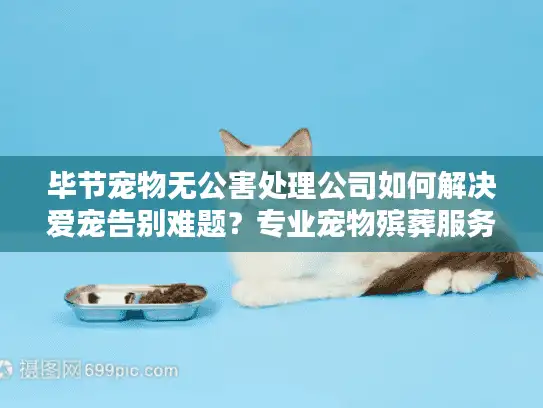 毕节宠物无公害处理公司如何解决爱宠告别难题？专业宠物殡葬服务指南