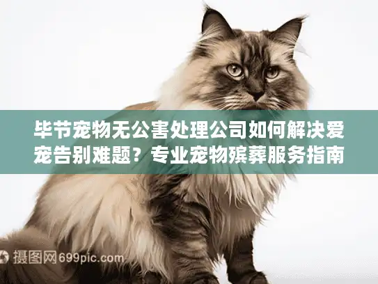 毕节宠物无公害处理公司如何解决爱宠告别难题？专业宠物殡葬服务指南