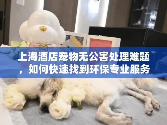 上海酒店宠物无公害处理难题，如何快速找到环保专业服务？