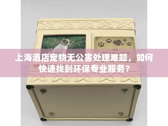 上海酒店宠物无公害处理难题，如何快速找到环保专业服务？