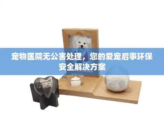 宠物医院无公害处理，您的爱宠后事环保安全解决方案