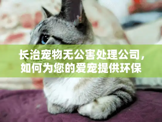 长治宠物无公害处理公司，如何为您的爱宠提供环保告别？