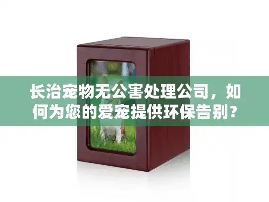 长治宠物无公害处理公司，如何为您的爱宠提供环保告别？
