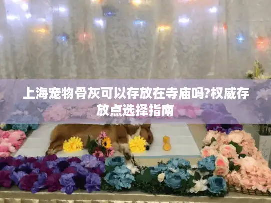 上海宠物骨灰可以存放在寺庙吗?权威存放点选择指南