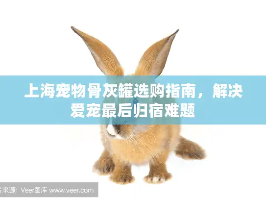 上海宠物骨灰罐选购指南，解决爱宠最后归宿难题