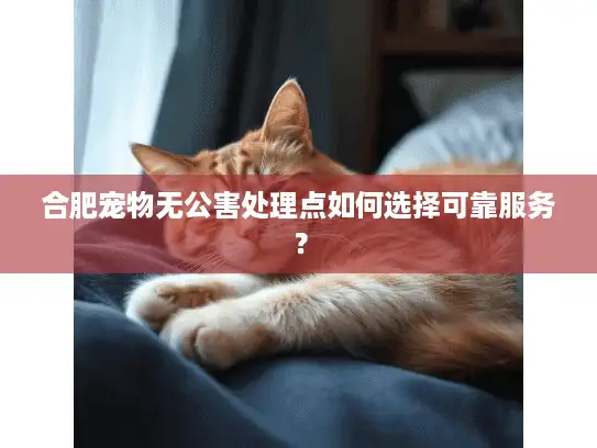 合肥宠物无公害处理点如何选择可靠服务？