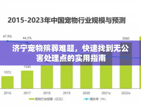 济宁宠物殡葬难题，快速找到无公害处理点的实用指南