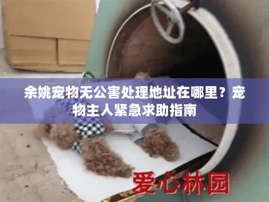 余姚宠物无公害处理地址在哪里？宠物主人紧急求助指南