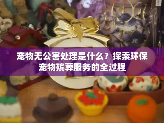 宠物无公害处理是什么？探索环保宠物殡葬服务的全过程