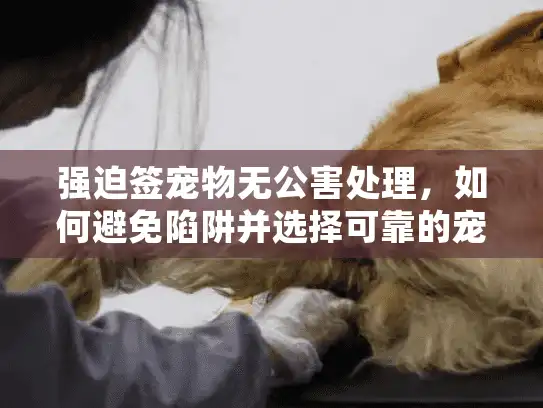 强迫签宠物无公害处理，如何避免陷阱并选择可靠的宠物殡葬服务？