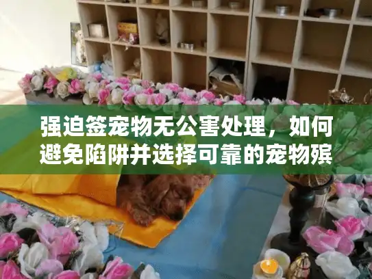 强迫签宠物无公害处理，如何避免陷阱并选择可靠的宠物殡葬服务？