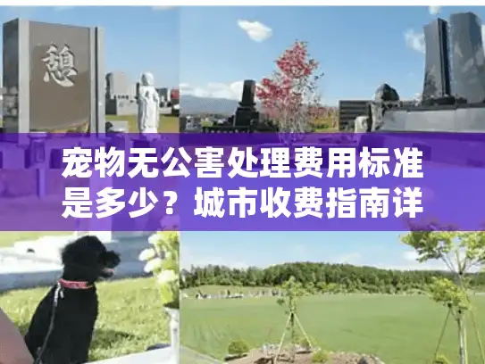 宠物无公害处理费用标准是多少？城市收费指南详解