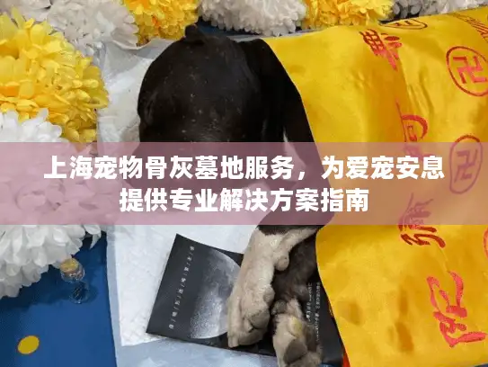 上海宠物骨灰墓地服务，为爱宠安息提供专业解决方案指南
