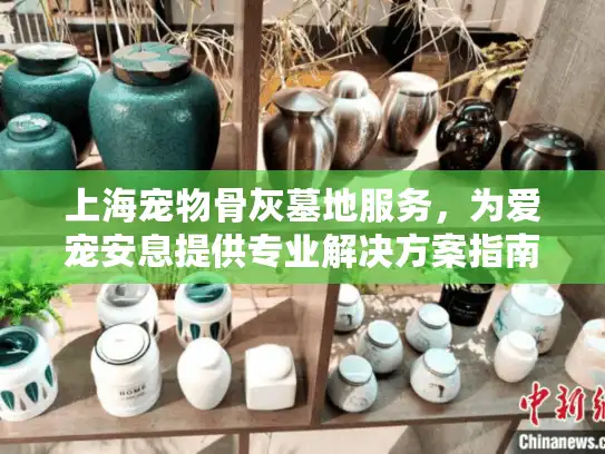 上海宠物骨灰墓地服务，为爱宠安息提供专业解决方案指南