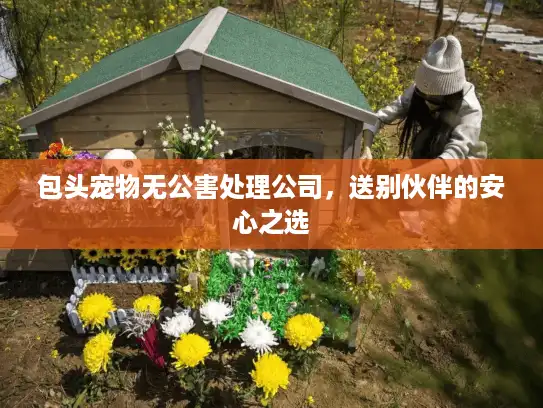 包头宠物无公害处理公司，送别伙伴的安心之选
