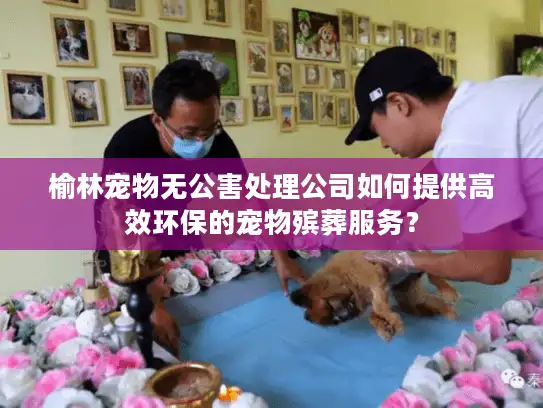 榆林宠物无公害处理公司如何提供高效环保的宠物殡葬服务？