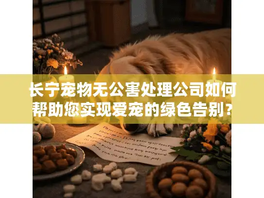 长宁宠物无公害处理公司如何帮助您实现爱宠的绿色告别？