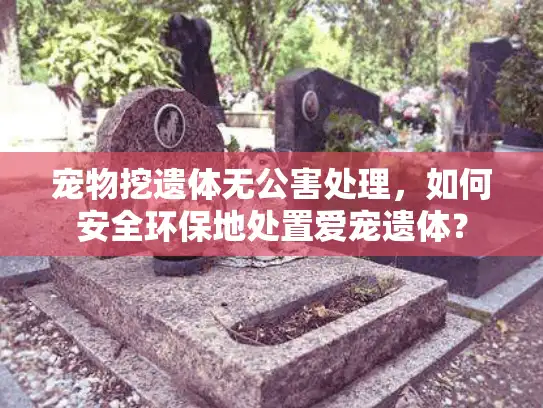宠物挖遗体无公害处理，如何安全环保地处置爱宠遗体？