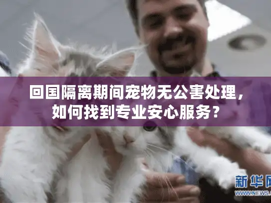 回国隔离期间宠物无公害处理，如何找到专业安心服务？