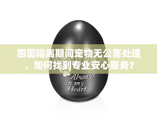 回国隔离期间宠物无公害处理，如何找到专业安心服务？