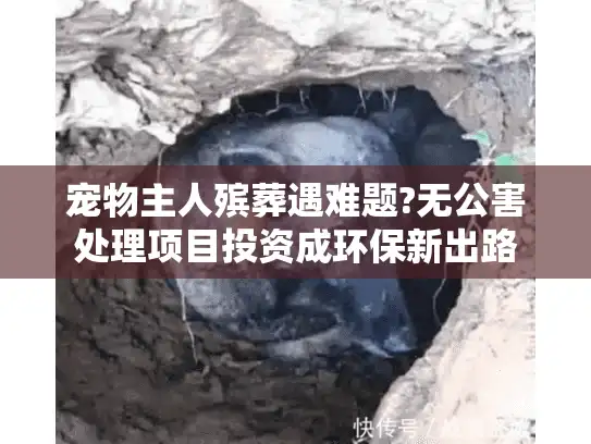 宠物主人殡葬遇难题?无公害处理项目投资成环保新出路