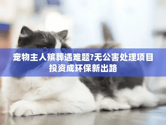 宠物主人殡葬遇难题?无公害处理项目投资成环保新出路