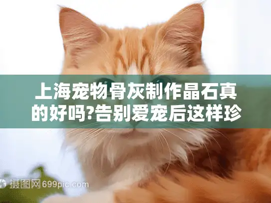 上海宠物骨灰制作晶石真的好吗?告别爱宠后这样珍藏更安心