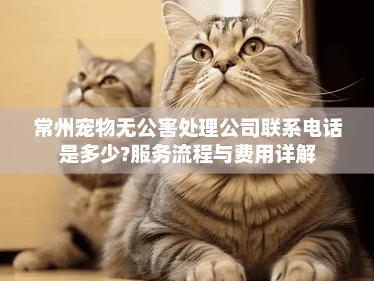 常州宠物无公害处理公司联系电话是多少?服务流程与费用详解