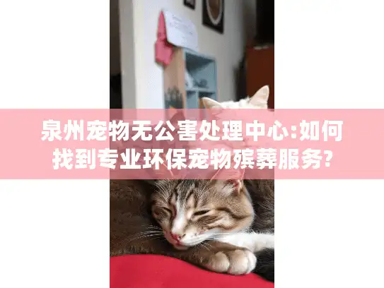泉州宠物无公害处理中心:如何找到专业环保宠物殡葬服务?