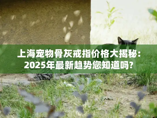 上海宠物骨灰戒指价格大揭秘:2025年最新趋势您知道吗?