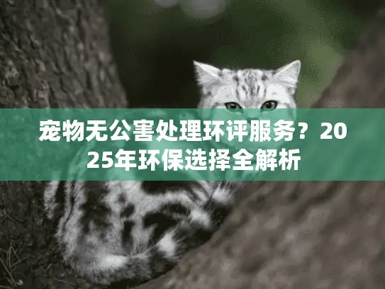 宠物无公害处理环评服务？2025年环保选择全解析