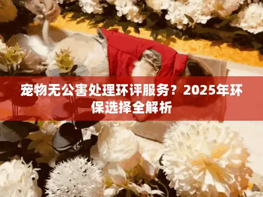 宠物无公害处理环评服务？2025年环保选择全解析