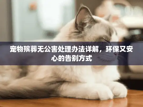 宠物殡葬无公害处理办法详解，环保又安心的告别方式