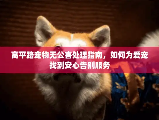 高平路宠物无公害处理指南，如何为爱宠找到安心告别服务