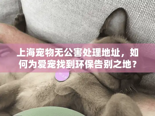 上海宠物无公害处理地址，如何为爱宠找到环保告别之地？