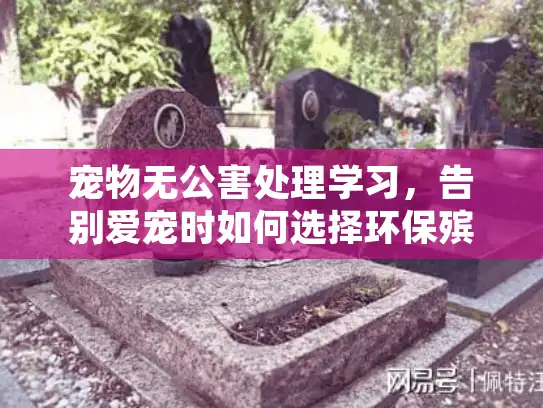 宠物无公害处理学习，告别爱宠时如何选择环保殡葬服务？