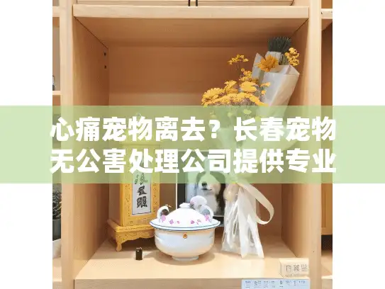心痛宠物离去？长春宠物无公害处理公司提供专业告别方案