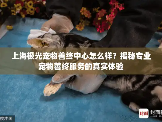 上海极光宠物善终中心怎么样？揭秘专业宠物善终服务的真实体验