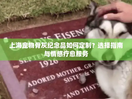 上海宠物骨灰纪念品如何定制？选择指南与情感疗愈服务