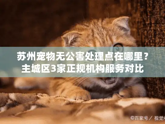 苏州宠物无公害处理点在哪里？主城区3家正规机构服务对比
