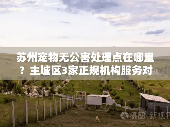 苏州宠物无公害处理点在哪里？主城区3家正规机构服务对比