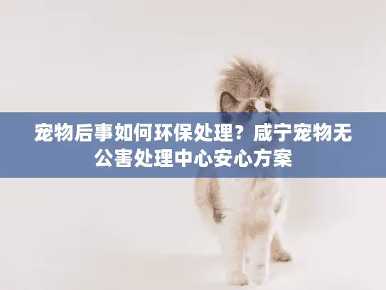 宠物后事如何环保处理？咸宁宠物无公害处理中心安心方案