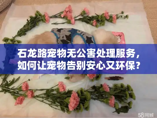 石龙路宠物无公害处理服务，如何让宠物告别安心又环保？