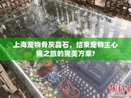 上海宠物骨灰晶石，结束宠物主心痛之旅的完美方案?